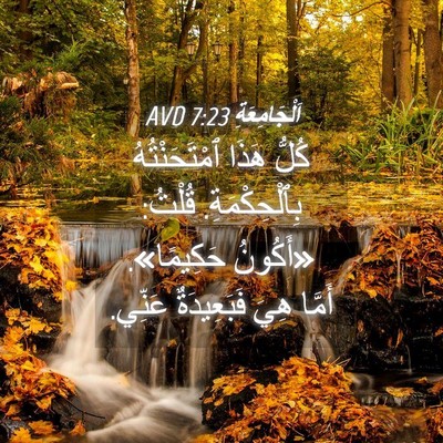 Picture 04 - اَلْجَامِعَةِ 7:23 AVD - كُلُّ هَذَا ٱمْتَحَنْتُهُ - Bible Verse Picture