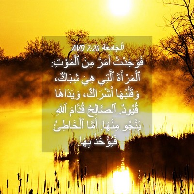 Picture 04 - اَلْجَامِعَةِ 7:26 AVD - فَوَجَدْتُ أَمَرَّ مِنَ - Bible Verse Picture