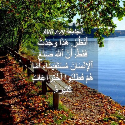 Picture 04 - اَلْجَامِعَةِ 7:29 AVD - اُنْظُرْ. هَذَا وَجَدْتُ - Bible Verse Picture