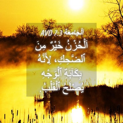 Picture 04 - اَلْجَامِعَةِ 7:3 AVD - اَلْحُزْنُ خَيْرٌ مِنَ - Bible Verse Picture