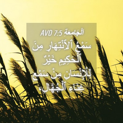 Picture 04 - اَلْجَامِعَةِ 7:5 AVD - سَمْعُ ٱلِٱنْتِهَارِ مِنَ - Bible Verse Picture