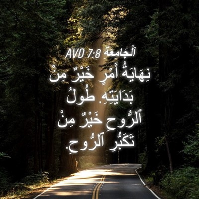 Picture 04 - اَلْجَامِعَةِ 7:8 AVD - نِهَايَةُ أَمْرٍ خَيْرٌ - Bible Verse Picture