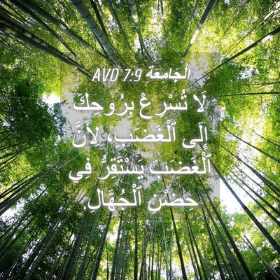 Picture 04 - اَلْجَامِعَةِ 7:9 AVD - لَا تُسْرِعْ بِرُوحِكَ - Bible Verse Picture