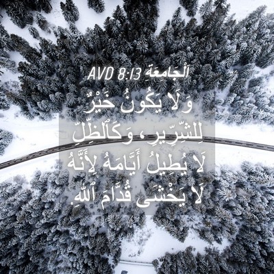 Picture 04 - اَلْجَامِعَةِ 8:13 AVD - وَلَا يَكُونُ خَيْرٌ - Bible Verse Picture