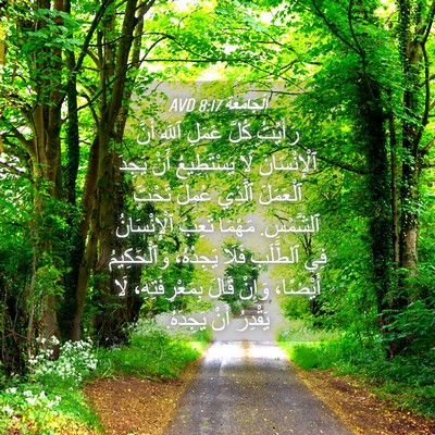 Picture 04 - اَلْجَامِعَةِ 8:17 AVD - رَأَيْتُ كُلَّ عَمَلِ - Bible Verse Picture