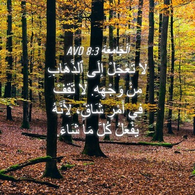 Picture 04 - اَلْجَامِعَةِ 8:3 AVD - لَا تَعْجَلْ إِلَى - Bible Verse Picture