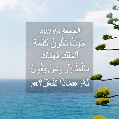 Picture 04 - اَلْجَامِعَةِ 8:4 AVD - حَيْثُ تَكُونُ كَلِمَةُ - Bible Verse Picture