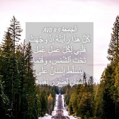 Picture 04 - اَلْجَامِعَةِ 8:9 AVD - كُلُّ هَذَا رَأَيْتُهُ - Bible Verse Picture