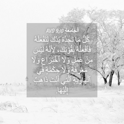Picture 04 - اَلْجَامِعَةِ 9:10 AVD - كُلُّ مَا تَجِدُهُ يَدُكَ - Bible Verse Picture