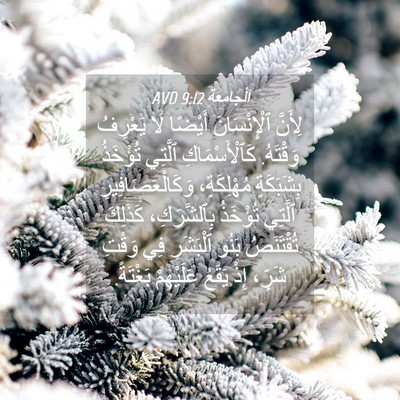Picture 04 - اَلْجَامِعَةِ 9:12 AVD - لِأَنَّ ٱلْإِنْسَانَ - Bible Verse Picture