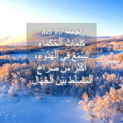 Picture 04 - اَلْجَامِعَةِ 9:17 AVD - كَلِمَاتُ ٱلْحُكَمَاءِ - Bible Verse Picture