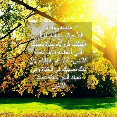 Picture 04 - اَلْجَامِعَةِ 9:9 AVD - اِلْتَذَّ عَيْشًا مَعَ - Bible Verse Picture