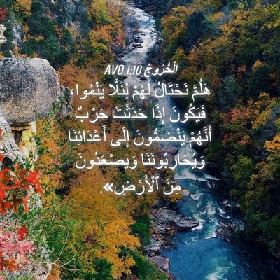Picture 04 - اَلْخُرُوجُ 1:10 AVD - هَلُمَّ نَحْتَالُ لَهُمْ - Bible Verse Picture
