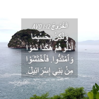 Picture 04 - اَلْخُرُوجُ 1:12 AVD - وَلَكِنْ بِحَسْبِمَا - Bible Verse Picture