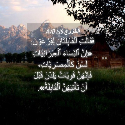 Picture 04 - اَلْخُرُوجُ 1:19 AVD - فَقَالَتِ ٱلْقَابِلَتَانِ - Bible Verse Picture