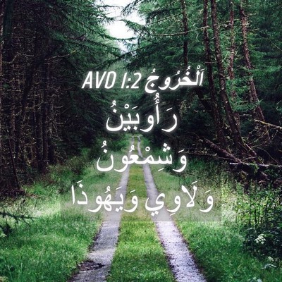 Picture 04 - اَلْخُرُوجُ 1:2 AVD - رَأُوبَيْنُ وَشِمْعُونُ - Bible Verse Picture