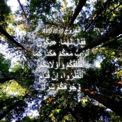 Picture 04 - اَلْخُرُوجُ 10:10 AVD - فَقَالَ لَهُمَا: «يَكُونُ - Bible Verse Picture