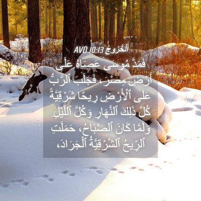 Picture 04 - اَلْخُرُوجُ 10:13 AVD - فَمَدَّ مُوسَى عَصَاهُ - Bible Verse Picture