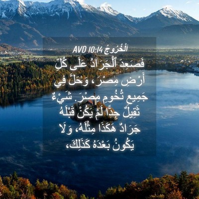 Picture 04 - اَلْخُرُوجُ 10:14 AVD - فَصَعِدَ ٱلْجَرَادُ عَلَى - Bible Verse Picture