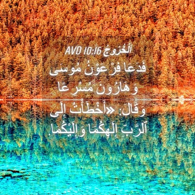 Picture 04 - اَلْخُرُوجُ 10:16 AVD - فَدَعَا فِرْعَوْنُ مُوسَى - Bible Verse Picture