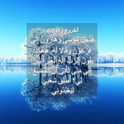 Picture 04 - اَلْخُرُوجُ 10:3 AVD - فَدَخَلَ مُوسَى - Bible Verse Picture