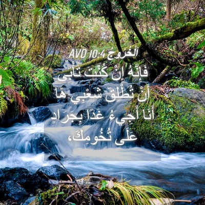 Picture 04 - اَلْخُرُوجُ 10:4 AVD - فَإِنَّهُ إِنْ كُنْتَ - Bible Verse Picture