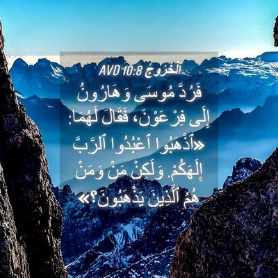 Picture 04 - اَلْخُرُوجُ 10:8 AVD - فَرُدَّ مُوسَى وَهَارُونُ - Bible Verse Picture