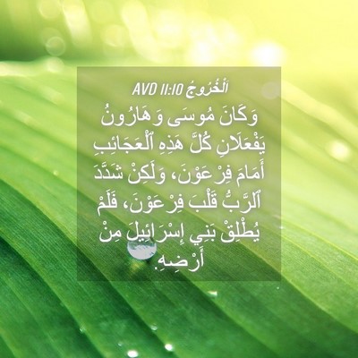 Picture 04 - اَلْخُرُوجُ 11:10 AVD - وَكَانَ مُوسَى وَهَارُونُ - Bible Verse Picture