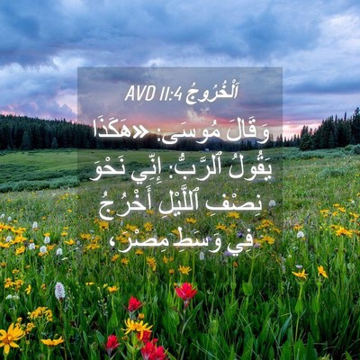 Picture 04 - اَلْخُرُوجُ 11:4 AVD - وَقَالَ مُوسَى: «هَكَذَا - Bible Verse Picture