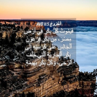 Picture 04 - اَلْخُرُوجُ 11:5 AVD - فَيَمُوتُ كُلُّ بِكْرٍ فِي - Bible Verse Picture