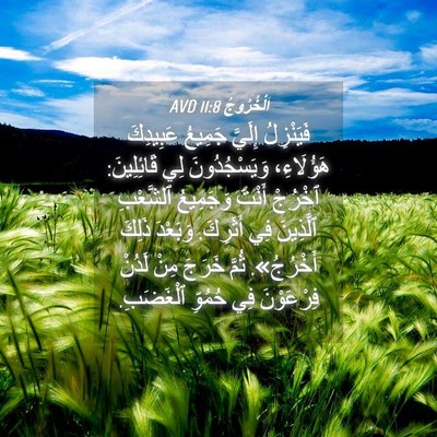 Picture 04 - اَلْخُرُوجُ 11:8 AVD - فَيَنْزِلُ إِلَيَّ - Bible Verse Picture