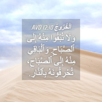 Picture 04 - اَلْخُرُوجُ 12:10 AVD - وَلَا تُبْقُوا مِنْهُ - Bible Verse Picture