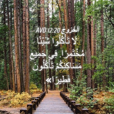 Picture 04 - اَلْخُرُوجُ 12:20 AVD - لَا تَأْكُلُوا شَيْئًا - Bible Verse Picture