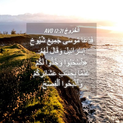 Picture 04 - اَلْخُرُوجُ 12:21 AVD - فَدَعَا مُوسَى جَمِيعَ - Bible Verse Picture