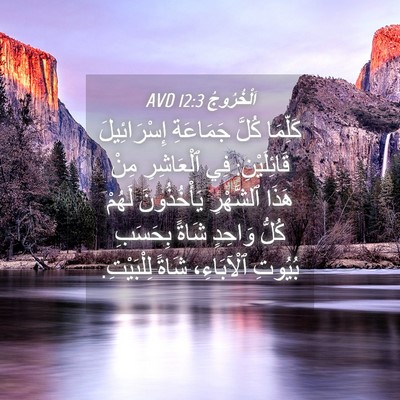 Picture 04 - اَلْخُرُوجُ 12:3 AVD - كَلِّمَا كُلَّ جَمَاعَةِ - Bible Verse Picture