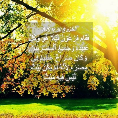 Picture 04 - اَلْخُرُوجُ 12:30 AVD - فَقَامَ فِرْعَوْنُ - Bible Verse Picture