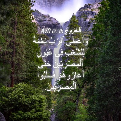 Picture 04 - اَلْخُرُوجُ 12:36 AVD - وَأَعْطَى ٱلرَّبُّ - Bible Verse Picture
