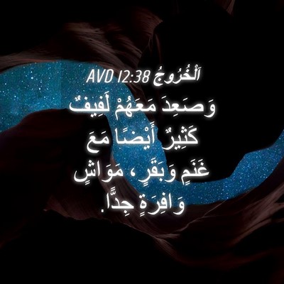 Picture 04 - اَلْخُرُوجُ 12:38 AVD - وَصَعِدَ مَعَهُمْ لَفِيفٌ - Bible Verse Picture