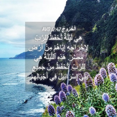 Picture 04 - اَلْخُرُوجُ 12:42 AVD - هِيَ لَيْلَةٌ تُحْفَظُ - Bible Verse Picture