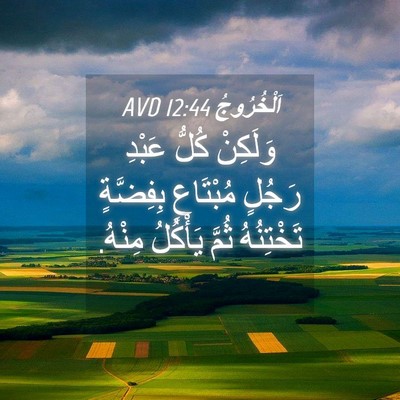 Picture 04 - اَلْخُرُوجُ 12:44 AVD - وَلَكِنْ كُلُّ عَبْدِ - Bible Verse Picture