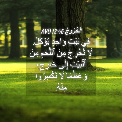 Picture 04 - اَلْخُرُوجُ 12:46 AVD - فِي بَيْتٍ وَاحِدٍ - Bible Verse Picture