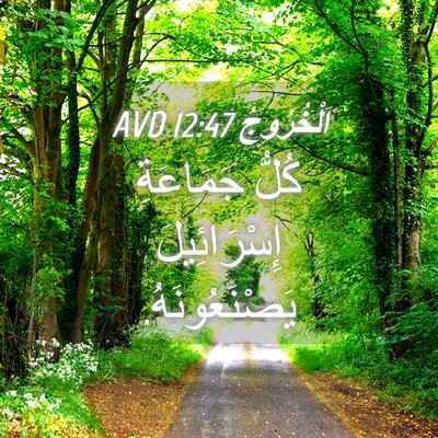 Picture 04 - اَلْخُرُوجُ 12:47 AVD - كُلُّ جَمَاعَةِ - Bible Verse Picture