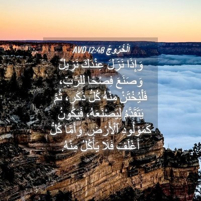 Picture 04 - اَلْخُرُوجُ 12:48 AVD - وَإِذَا نَزَلَ عِنْدَكَ - Bible Verse Picture