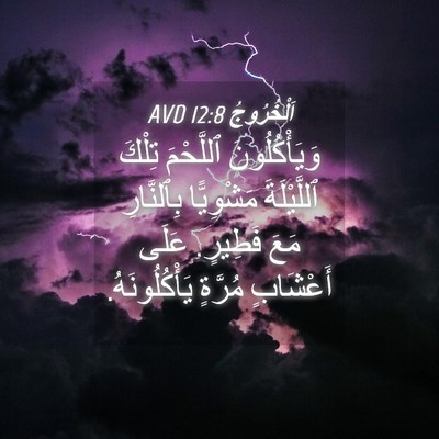 Picture 04 - اَلْخُرُوجُ 12:8 AVD - وَيَأْكُلُونَ ٱللَّحْمَ - Bible Verse Picture