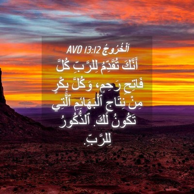 Picture 04 - اَلْخُرُوجُ 13:12 AVD - أَنَّكَ تُقَدِّمُ - Bible Verse Picture