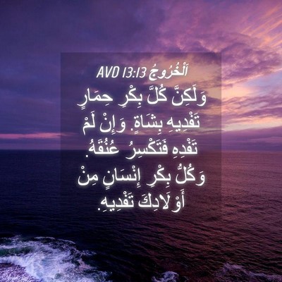 Picture 04 - اَلْخُرُوجُ 13:13 AVD - وَلَكِنَّ كُلَّ بِكْرِ - Bible Verse Picture