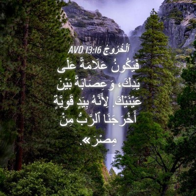 Picture 04 - اَلْخُرُوجُ 13:16 AVD - فَيَكُونُ عَلَامَةً عَلَى - Bible Verse Picture