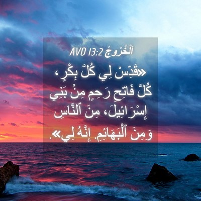 Picture 04 - اَلْخُرُوجُ 13:2 AVD - «قَدِّسْ لِي كُلَّ بِكْرٍ، - Bible Verse Picture