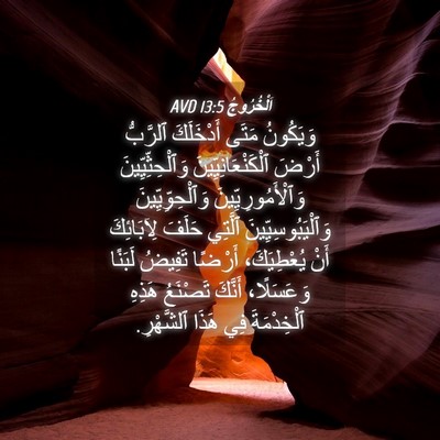 Picture 04 - اَلْخُرُوجُ 13:5 AVD - وَيَكُونُ مَتَى - Bible Verse Picture