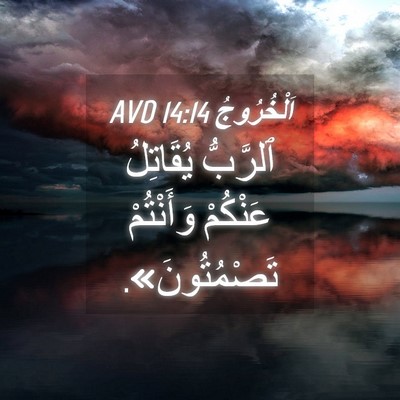 Picture 04 - اَلْخُرُوجُ 14:14 AVD - ٱلرَّبُّ يُقَاتِلُ - Bible Verse Picture